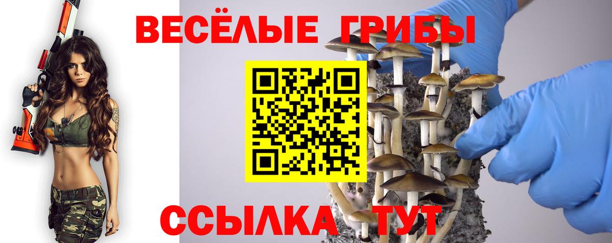 сколько стоит  Вход с VPN  Добрянка  Псилоцибиновые грибы прущие грибы 